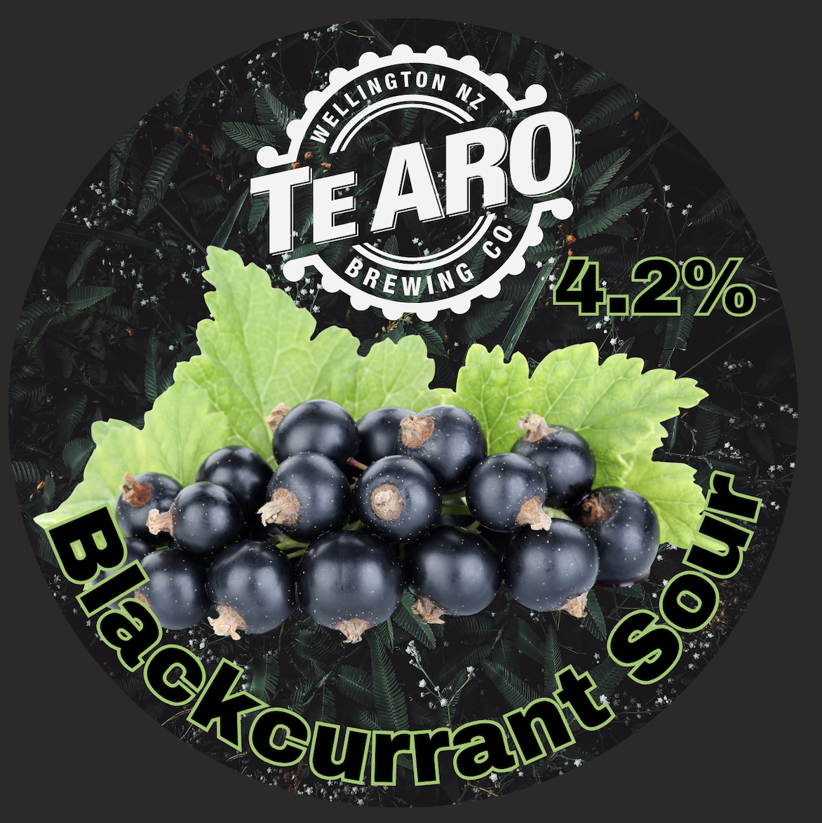 Te Aro Brewing Wellington Blackcurrant Sour